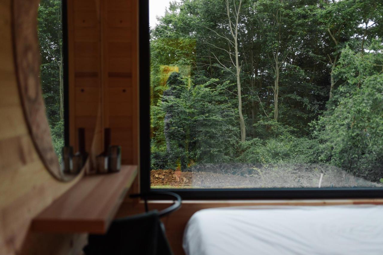 Tiny Heaven Cabin Călimăneşti المظهر الخارجي الصورة